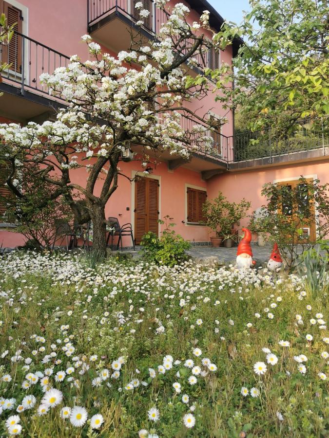 הוילה Bolzano Novarese La Baia D'Acquadolce מראה חיצוני תמונה